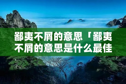 鄙夷不屑的意思「鄙夷不屑的意思是什么最佳答案」