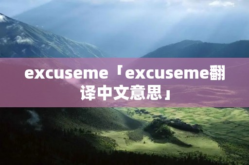 excuseme「excuseme翻译中文意思」