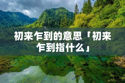 初来乍到的意思「初来乍到指什么」