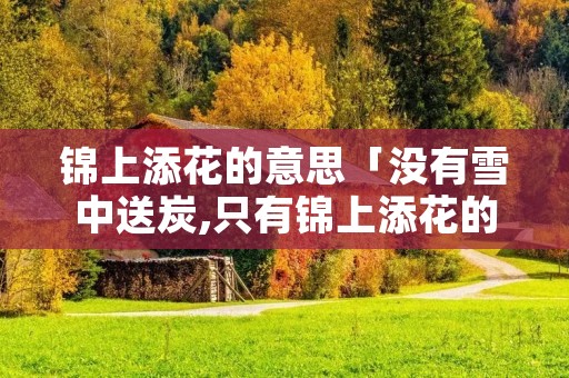 锦上添花的意思「没有雪中送炭,只有锦上添花的意思」