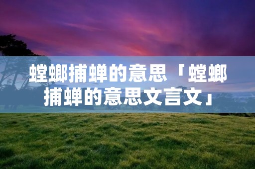 螳螂捕蝉的意思「螳螂捕蝉的意思文言文」
