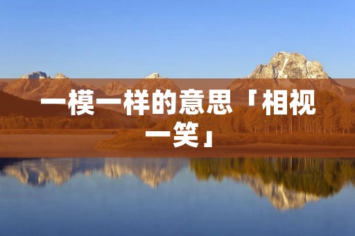 一模一样的意思「相视一笑」