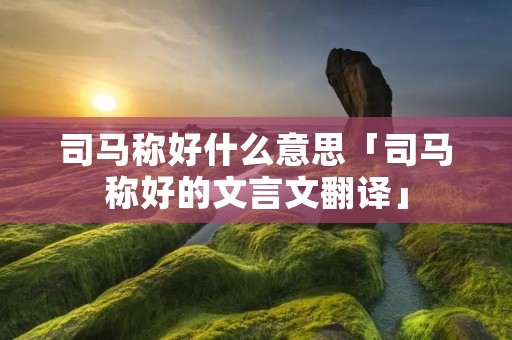 司马称好什么意思「司马称好的文言文翻译」 司马称好什么意思「司马称好的文言文翻译」