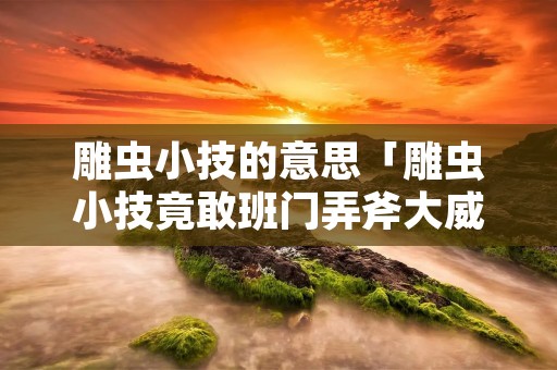 雕虫小技的意思「雕虫小技竟敢班门弄斧大威天龙」 雕虫小技的意思「雕虫小技竟敢班门弄斧大威天龙」
