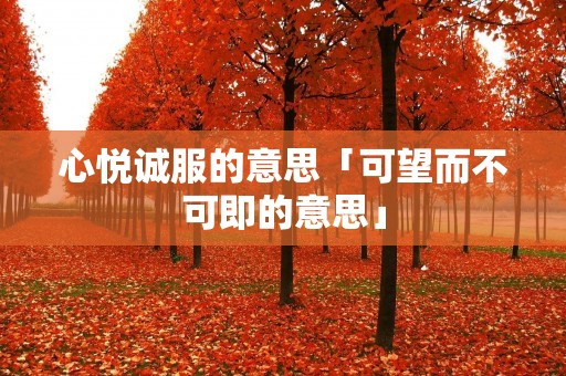 心悦诚服的意思「可望而不可即的意思」