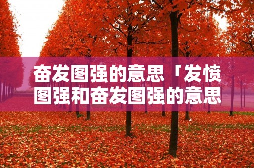 奋发图强的意思「发愤图强和奋发图强的意思」