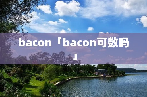 bacon「bacon可数吗」