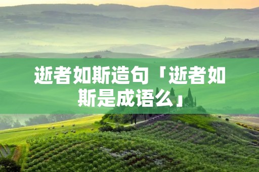 逝者如斯造句「逝者如斯是成语么」