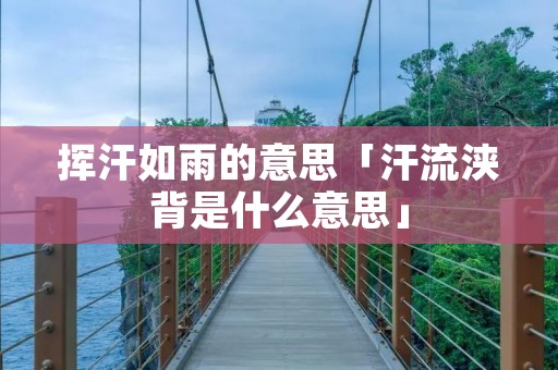 挥汗如雨的意思「汗流浃背是什么意思」