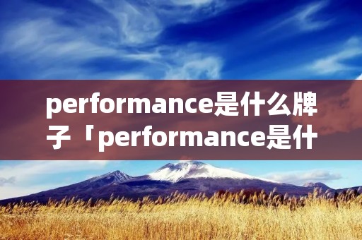 performance是什么牌子「performance是什么车」