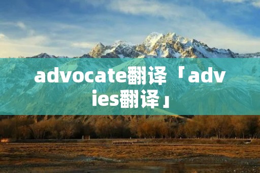 advocate翻译「advies翻译」