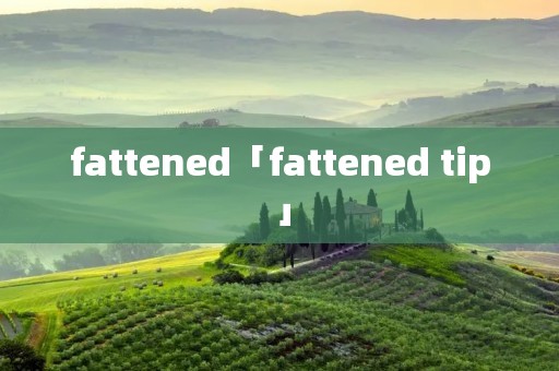 fattened「fattened tip」 fattened「fattened tip」