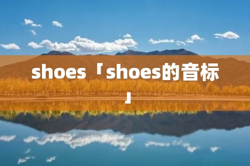 shoes「shoes的音标」