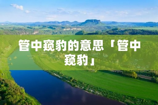 管中窥豹的意思「管中窥豹」