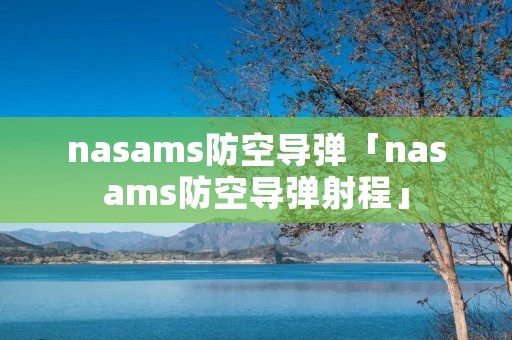 nasams防空导弹「nasams防空导弹射程」