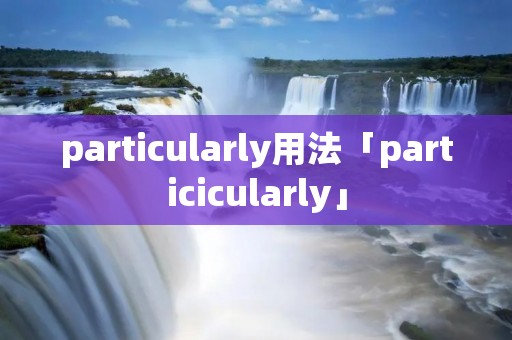 particularly用法「particicularly」
