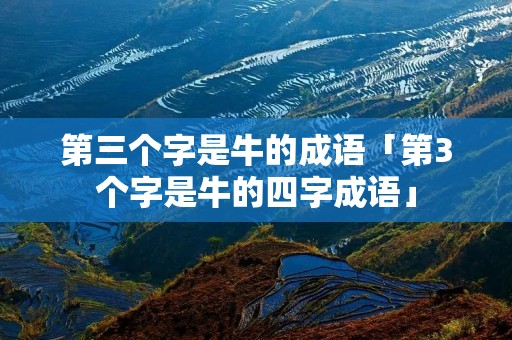 第三个字是牛的成语「第3个字是牛的四字成语」