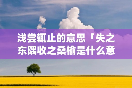 浅尝辄止的意思「失之东隅收之桑榆是什么意思」