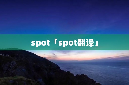 spot「spot翻译」