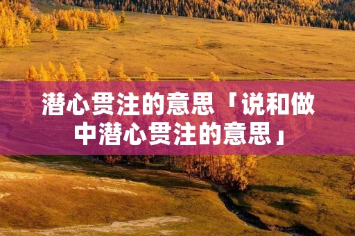 潜心贯注的意思「说和做中潜心贯注的意思」