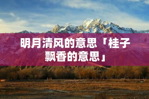 明月清风的意思「桂子飘香的意思」