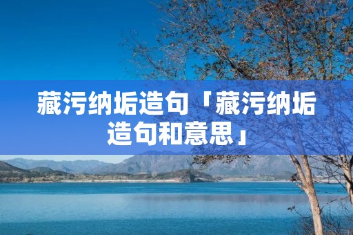 藏污纳垢造句「藏污纳垢造句和意思」