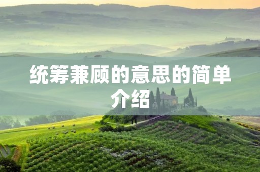 统筹兼顾的意思的简单介绍