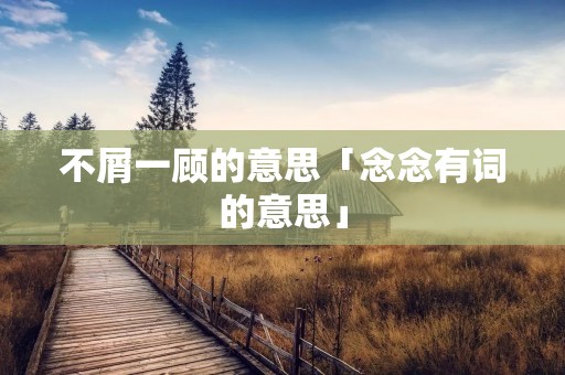 不屑一顾的意思「念念有词的意思」