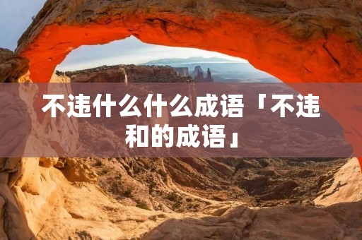 不违什么什么成语「不违和的成语」