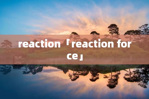 reaction「reaction force」