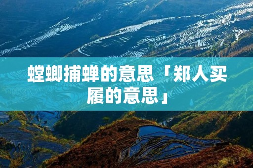 螳螂捕蝉的意思「郑人买履的意思」