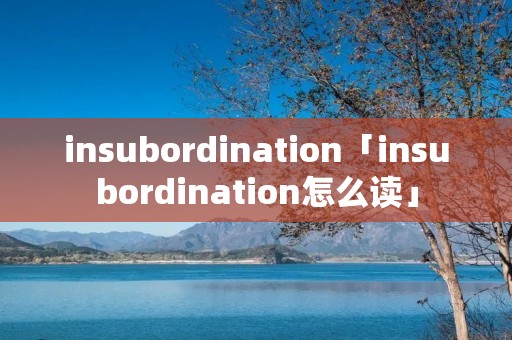 insubordination「insubordination怎么读」