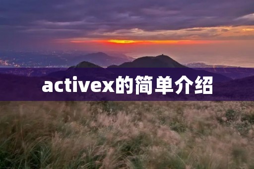 activex的简单介绍