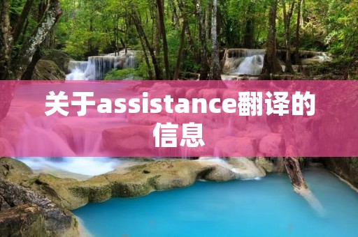 关于assistance翻译的信息