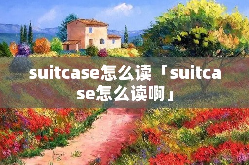 suitcase怎么读「suitcase怎么读啊」