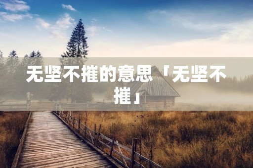 无坚不摧的意思「无坚不摧」
