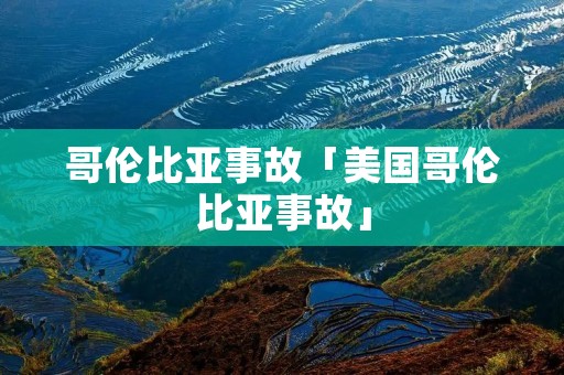 哥伦比亚事故「美国哥伦比亚事故」