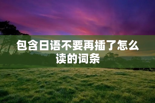 包含日语不要再插了怎么读的词条