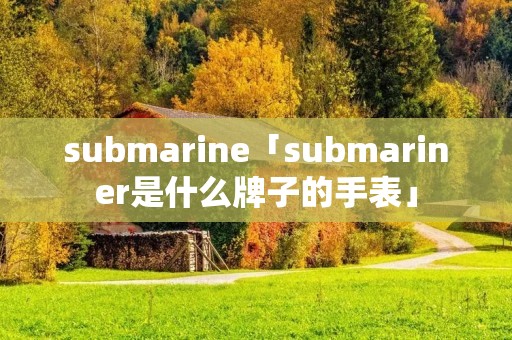 submarine「submariner是什么牌子的手表」