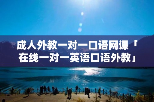 成人外教一对一口语网课「在线一对一英语口语外教」