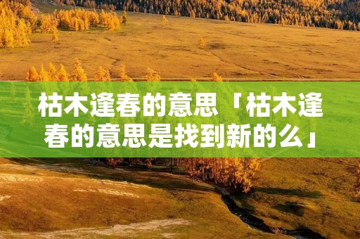 枯木逢春的意思「枯木逢春的意思是找到新的么」