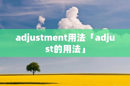 adjustment用法「adjust的用法」