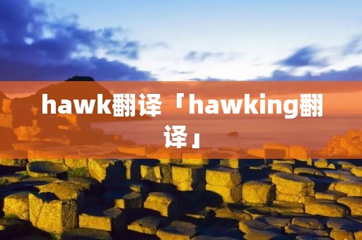 hawk翻译「hawking翻译」