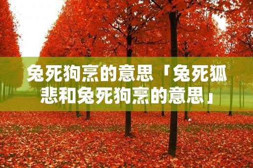 兔死狗烹的意思「兔死狐悲和兔死狗烹的意思」