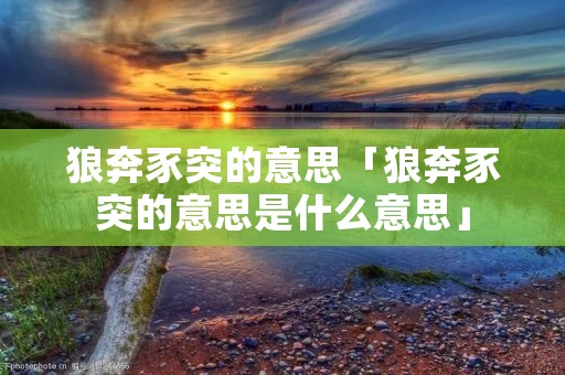 狼奔豕突的意思「狼奔豕突的意思是什么意思」