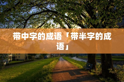 带中字的成语「带半字的成语」
