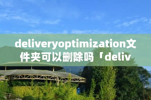 deliveryoptimization文件夹可以删除吗「delivery optimization删除」