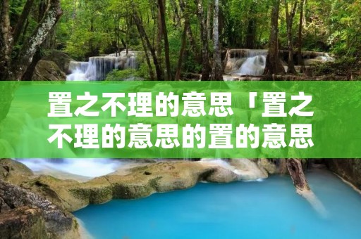 置之不理的意思「置之不理的意思的置的意思」