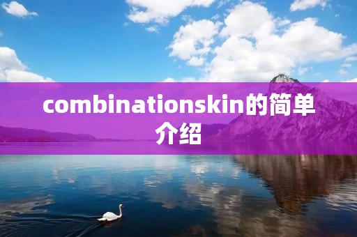 combinationskin的简单介绍 combinationskin的简单介绍