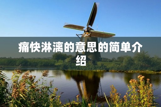痛快淋漓的意思的简单介绍